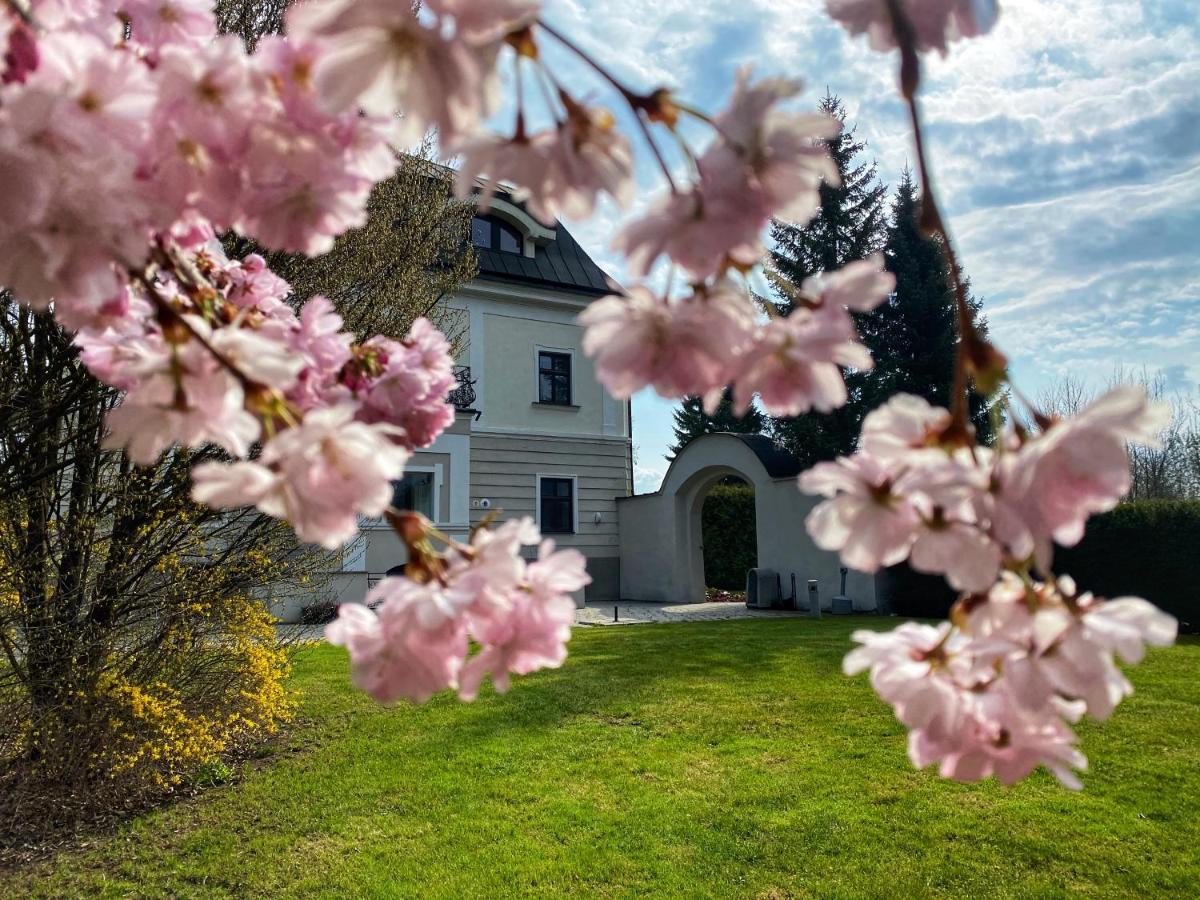 Hotel Villa Necas Žilina Eksteriør bilde